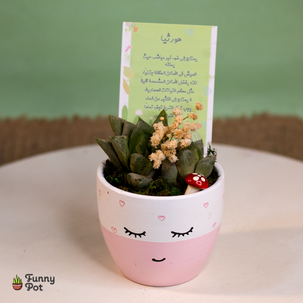 بوت كيوت بالصبار الطبيعي