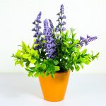 بوت نبات صناعي