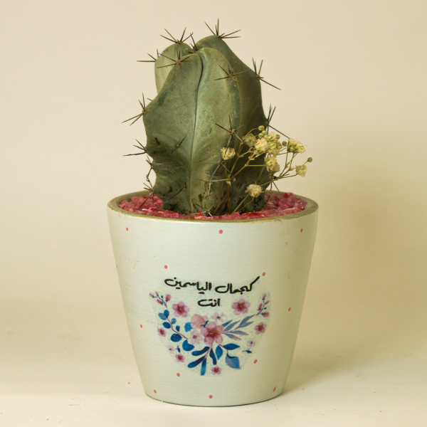 صبار في بوت ملون