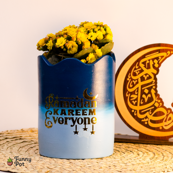 بوت زجزاج نبات الكلانشو المزهر