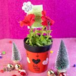 نبات باتونيا طبيعي