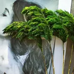 بامبوس ناعم مجفف