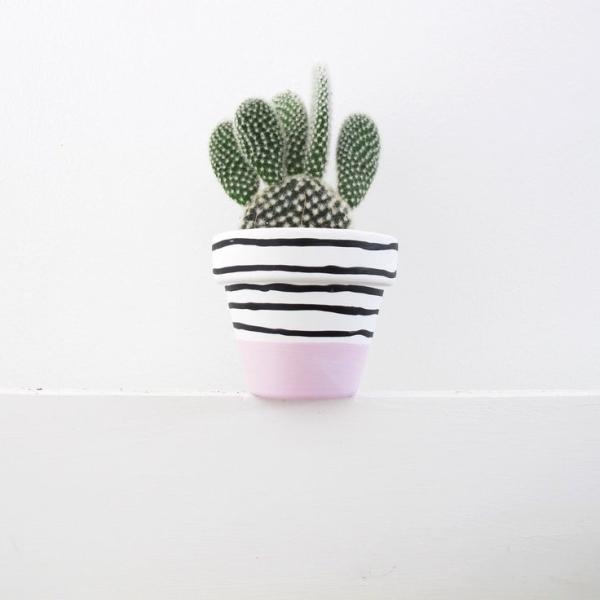 صبار في بوت ملون