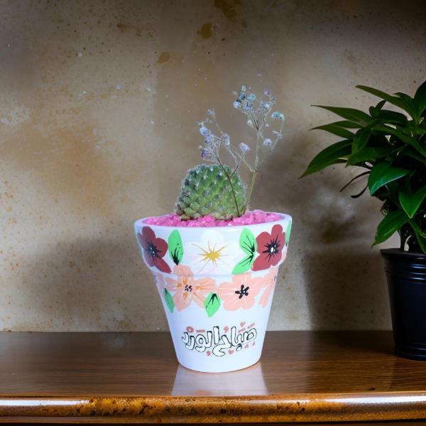 صبار في بوت ملون