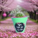 صبار طبيعي في بوت ملون