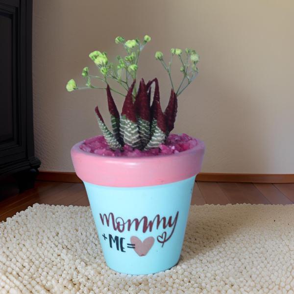 صبار في بوت ملون