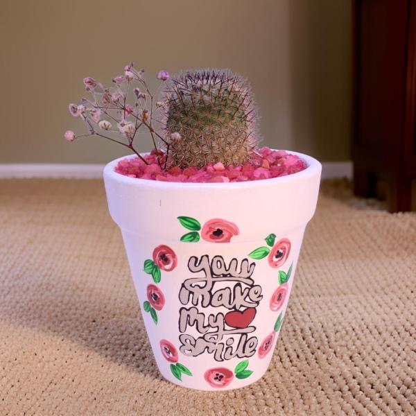 صبار في بوت ملون