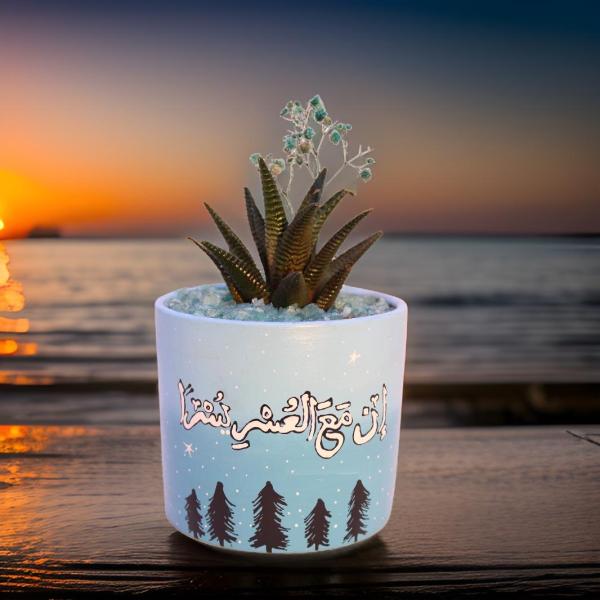 صبار في بوت ملون