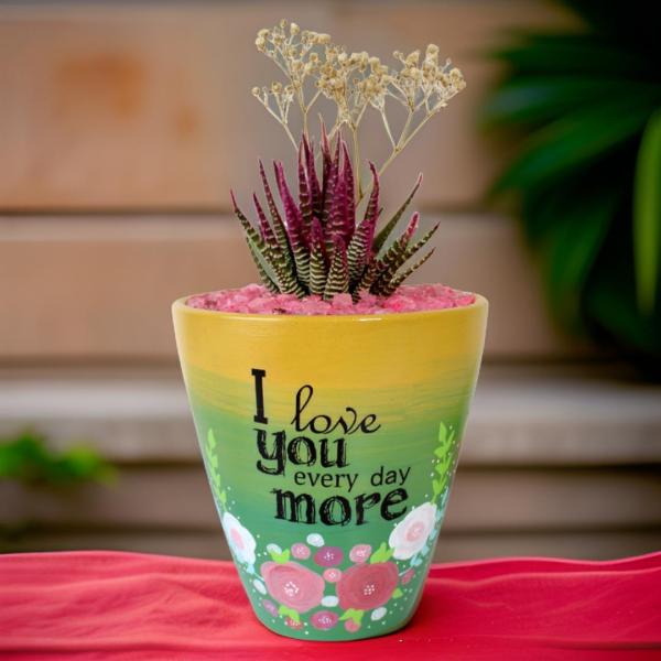 صبار في بوت ملون