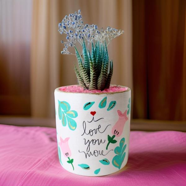 صبار في بوت ملون