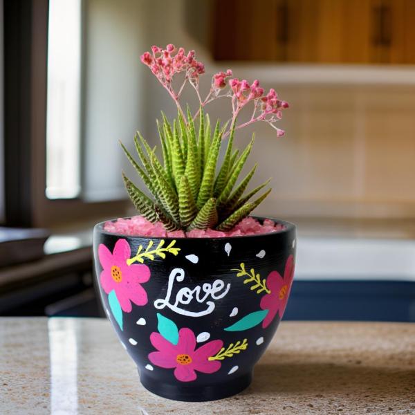 صبار في بوت طبيعي