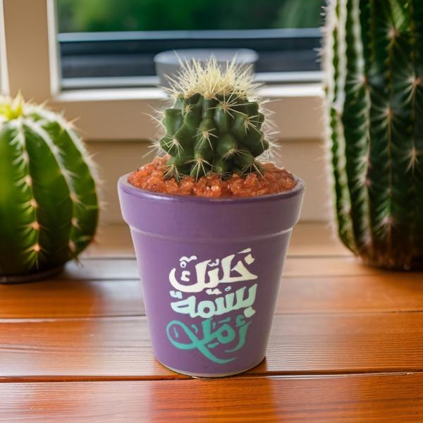 صبار في بوت ملون