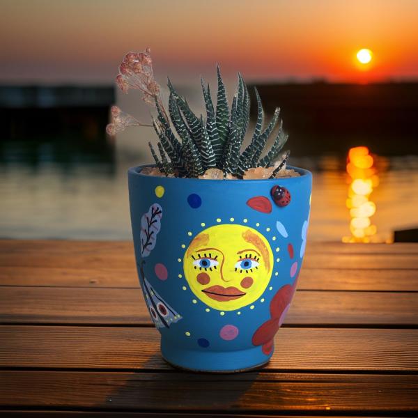 صبار في بوت ملون