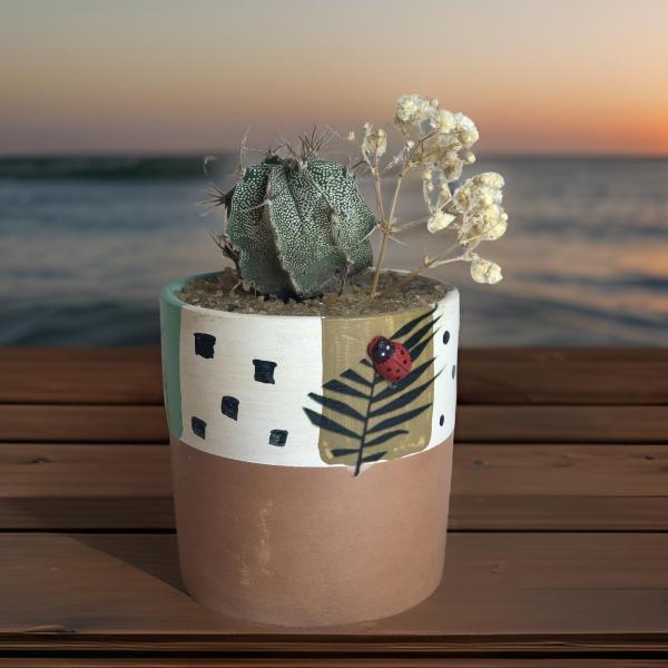 صبار في بوت ملون