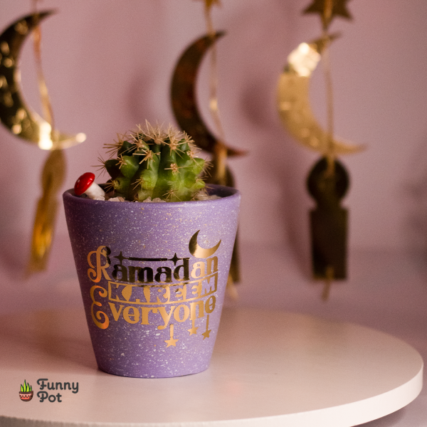 بوت نبات طبيعي