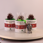 بوت رمضاني  فخار صبار طبيعي