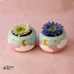 بوت نبات صناعى