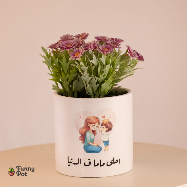 بوت نبات صناعى