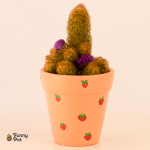 بوت بالصبار الطبيعي