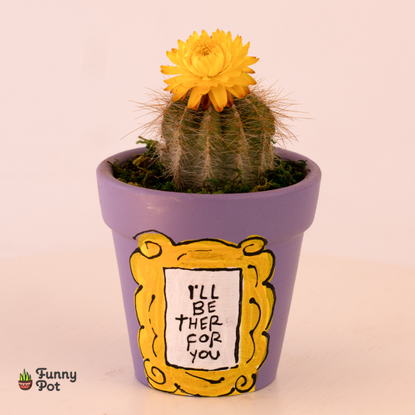 بوت بالصبار الطبيعي