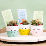 بوت كيوت بالصبار الطبيعي