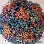 بوت بيبي فلاور