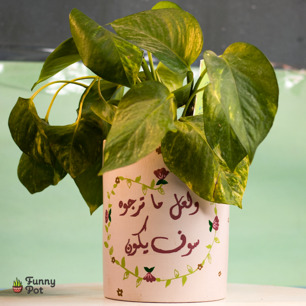 بوتس في بوت فخار