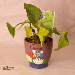 بوت بالبوتس الطبيعي