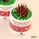 بوت رمضاني  فخار صبار طبيعي