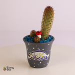 بوت فخار هاند ميد