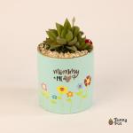 بوت فخار صبار طبيعي