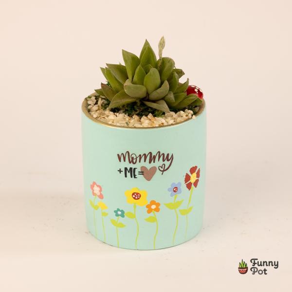 بوت فخار صبار طبيعي