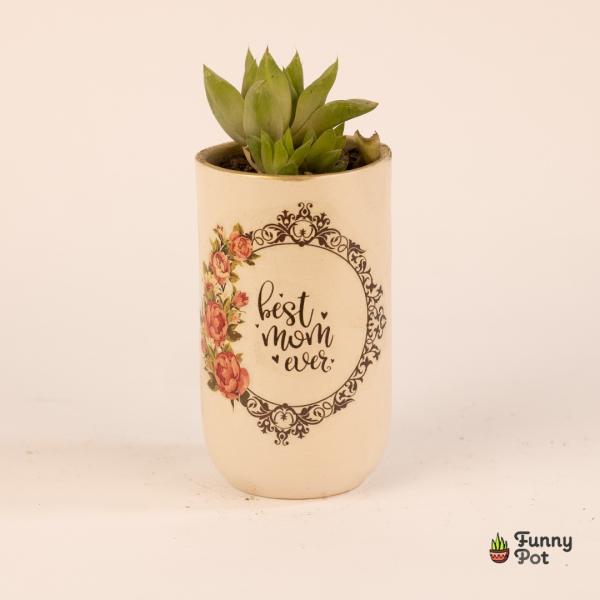 بوت فخار صبار طبيعي