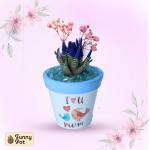 بوت فخار صبار طبيعي