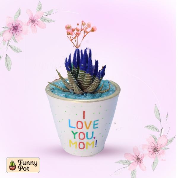 بوت فخار صبار طبيعي