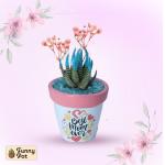 بوت فخار صبار طبيعي