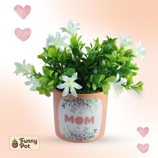 بوت فخار نبات  صناعى